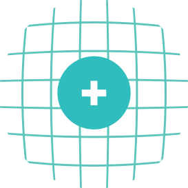 icon only inspection