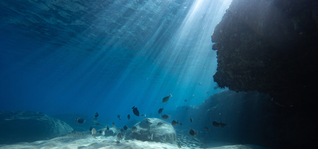 underwater scene with sun shining through