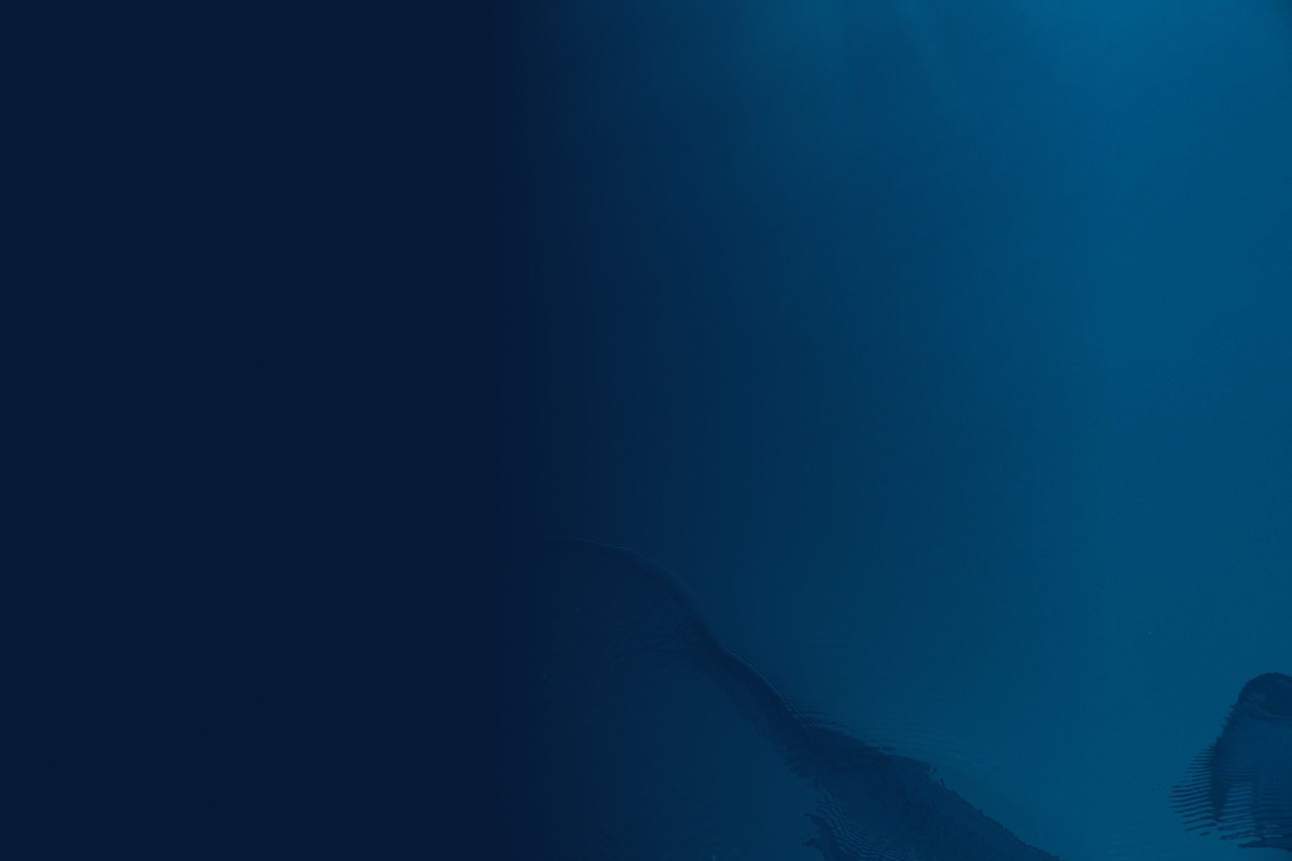 upclose shot of ocean waves 