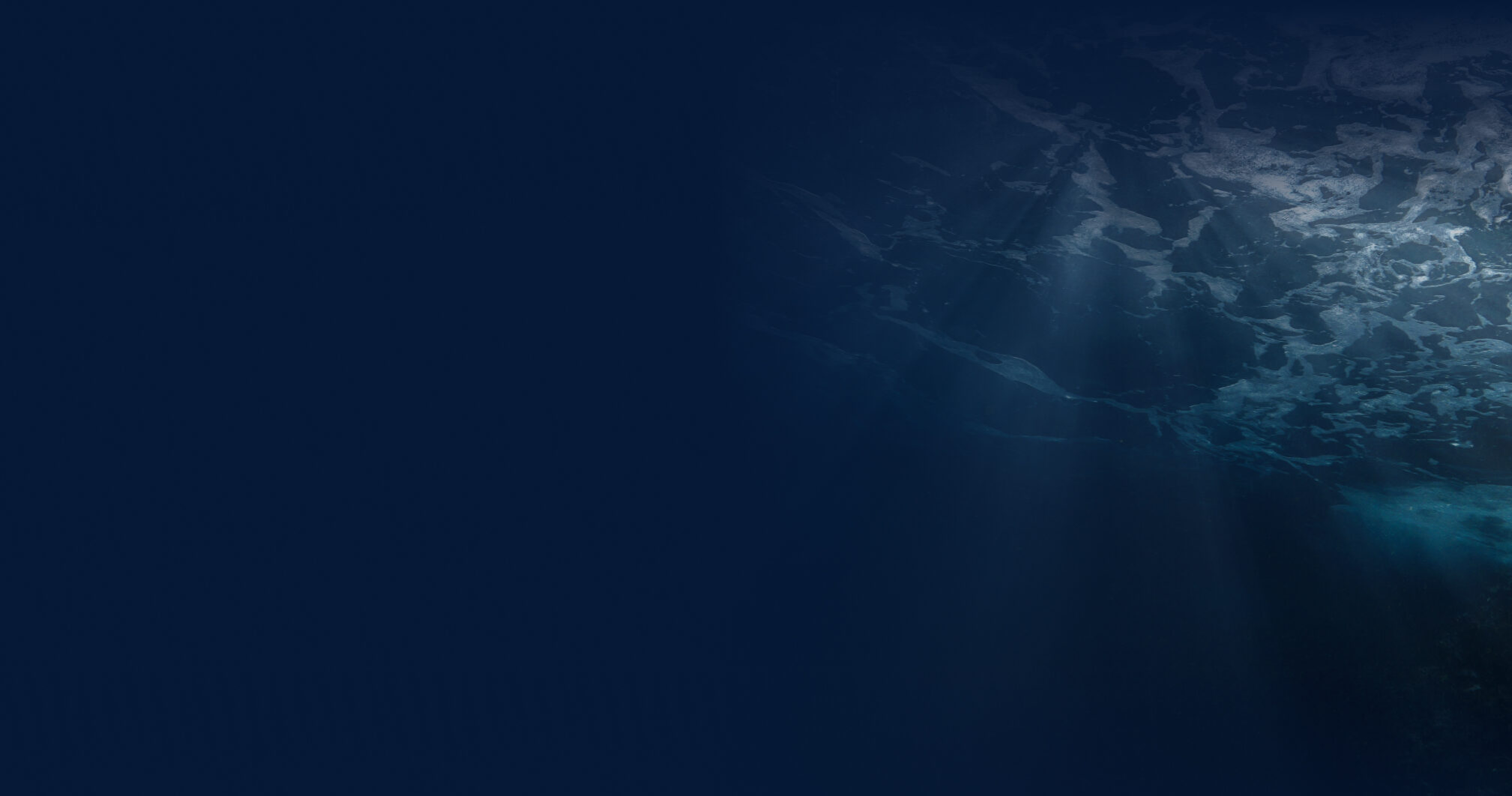 beneath the surface of the ocean photo