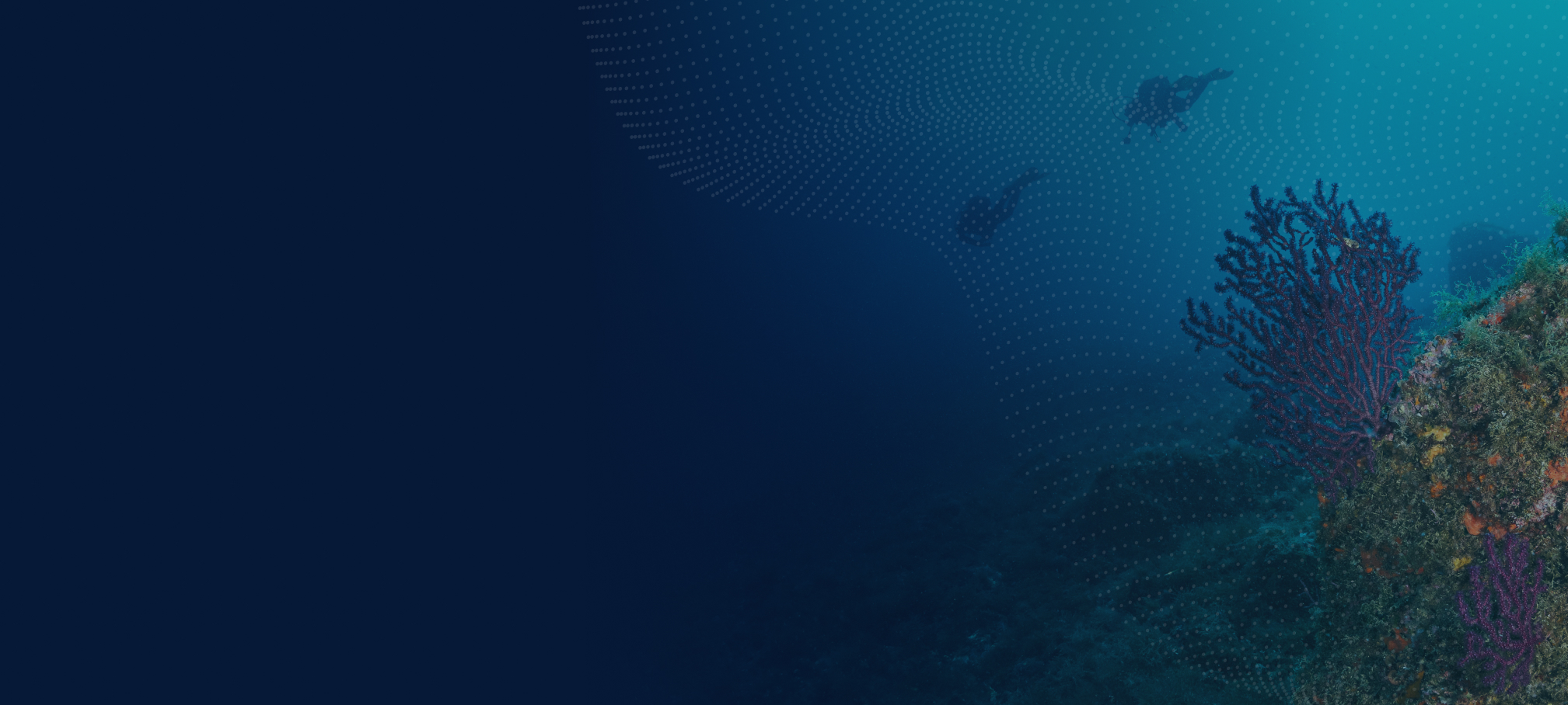 dark blue under water shot of diver and coral reef in ocean