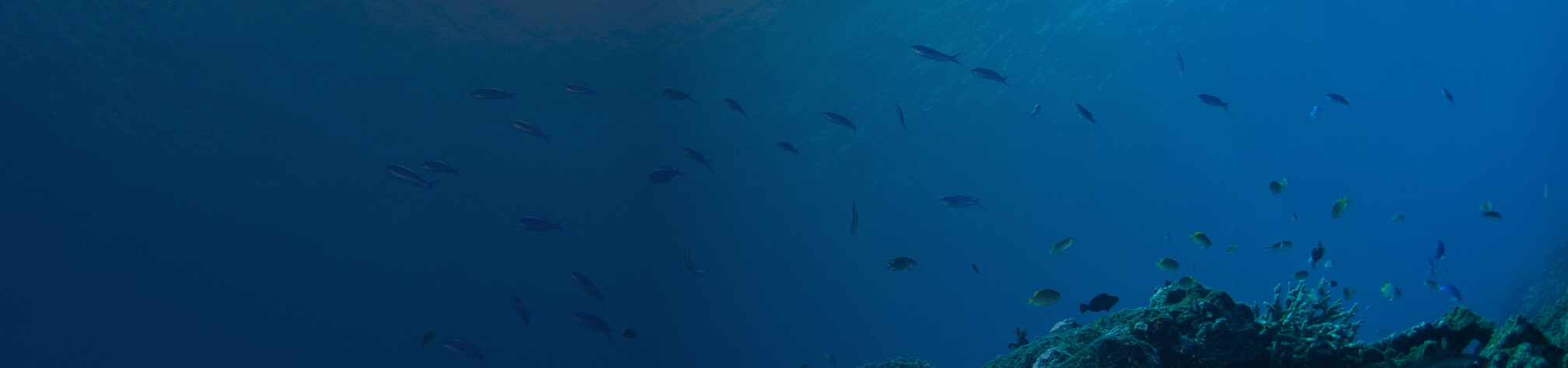 quote background